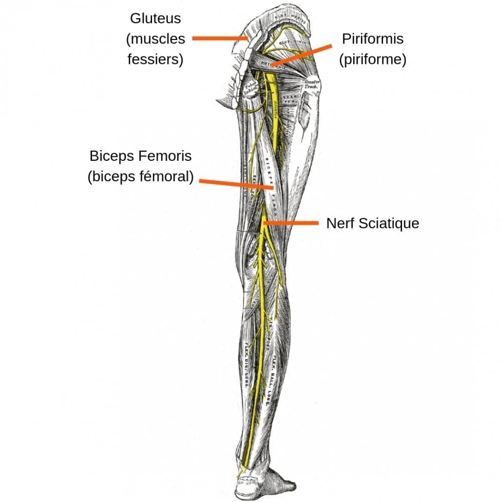 découvrez les principales causes de la sciatique à la jambe gauche, une douleur souvent invalidante. apprenez à identifier les facteurs déclenchants et les solutions efficaces pour soulager vos symptômes et améliorer votre qualité de vie.