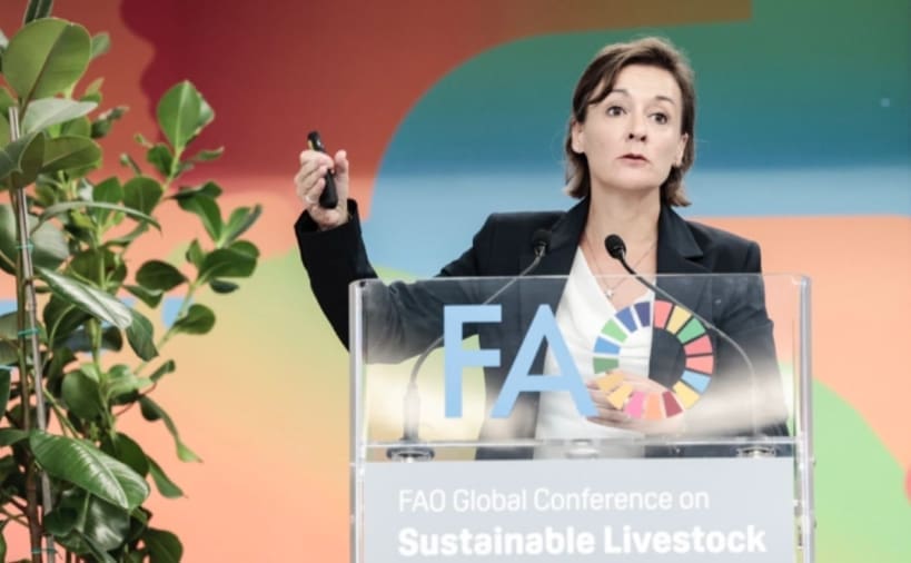 découvrez le parcours exceptionnel d'anne mottet, une femme inspirante qui a su transformer sa passion en action. son engagement pour l'autonomisation des femmes et son impact dans la communauté font d'elle un modèle à suivre. plongez dans son histoire et laissez-vous inspirer par ses idées et son énergie.