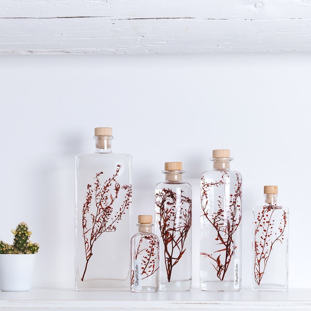 découvrez h17 amour, une exploration passionnante des relations amoureuses à travers le prisme de l'émotion et de la complicité. plongez dans des récits touchants et inspirants qui célèbrent l'amour sous toutes ses formes.