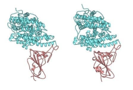 découvrez les origines du covid-19, explorez les théories sur son émergence, les études scientifiques et les implications sur la santé mondiale. informez-vous sur l'histoire de ce virus et ses impacts sur notre société.