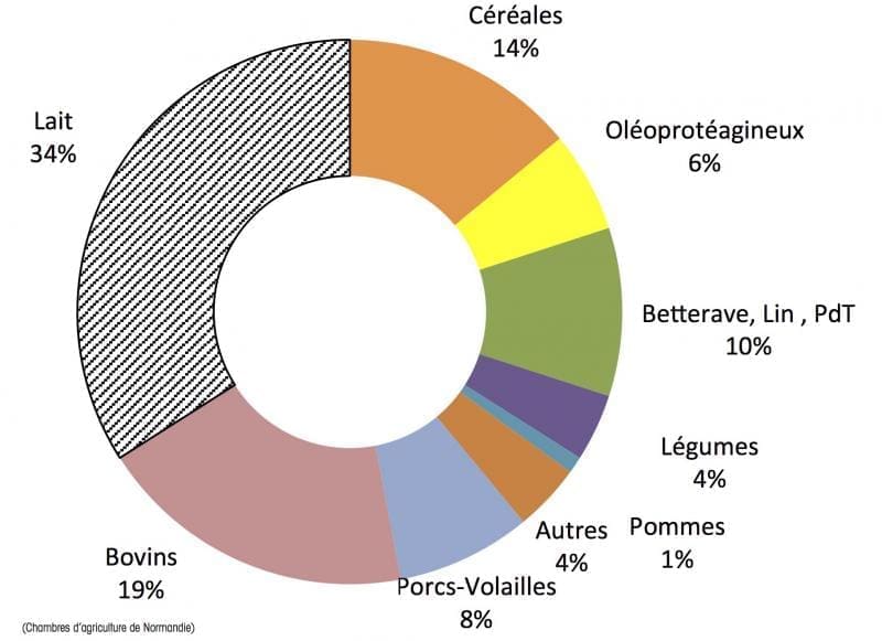 découvrez comment les agriculteurs ornais peuvent atteindre une rentabilité rapide grâce à des techniques innovantes et des stratégies efficaces. améliorez votre production et maximisez vos profits avec nos conseils adaptés à la réalité du terrain.
