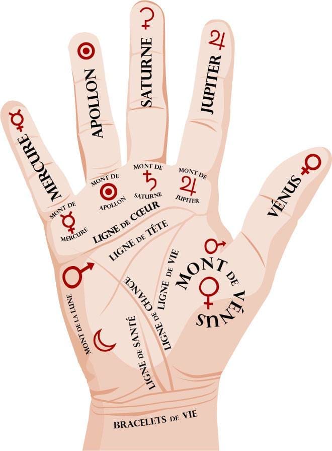 découvrez l'art fascinant de la chiromancie avec notre guide sur la ligne de la main. apprenez à interpréter les différentes lignes et leurs significations pour mieux comprendre votre personnalité et vos relations.