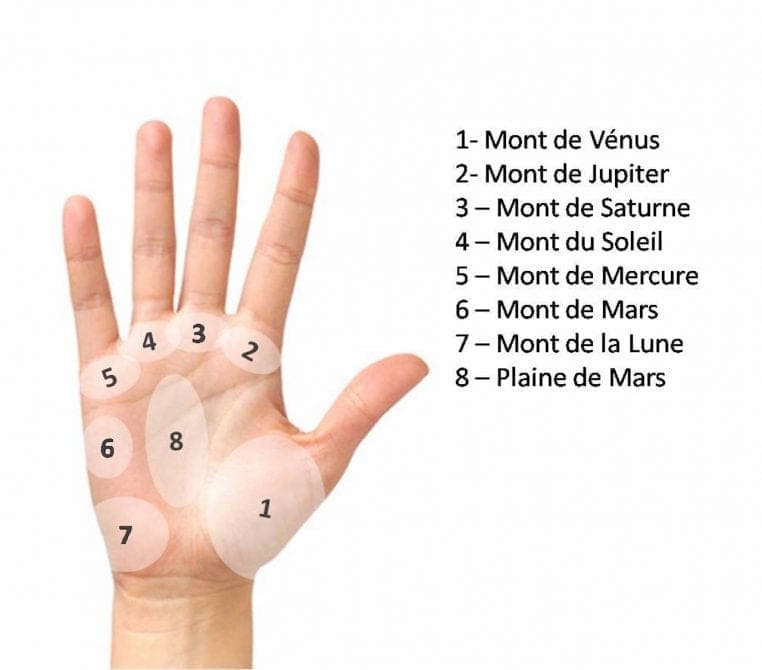 découvrez l'art fascinant de la chiromancie avec notre guide complet sur les lignes de la main. apprenez à interpréter les lignes principales et secondaires pour mieux comprendre votre personnalité, vos relations et votre avenir. plongez dans l'univers des secrets révélés par vos propres mains !