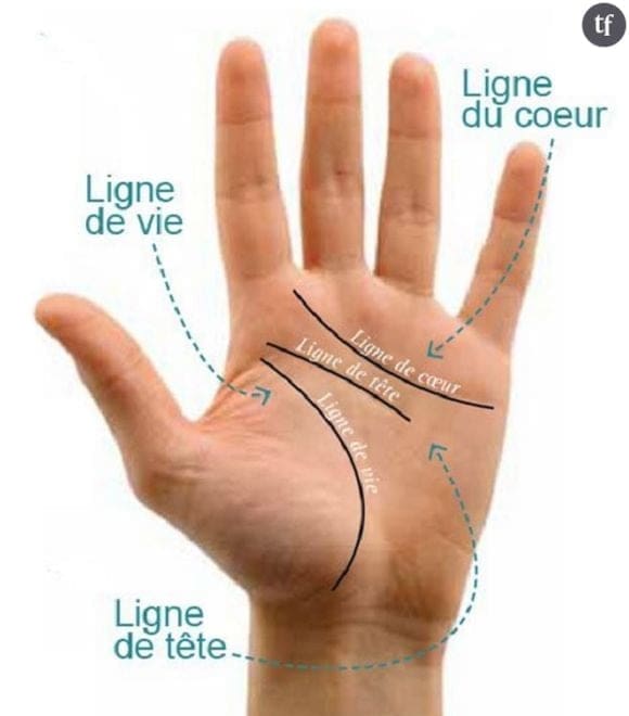 découvrez l'art de la chiromancie avec notre guide sur la ligne de la main. apprenez à interpréter les lignes, les formes et les empreintes de vos mains pour mieux comprendre votre personnalité et votre avenir.