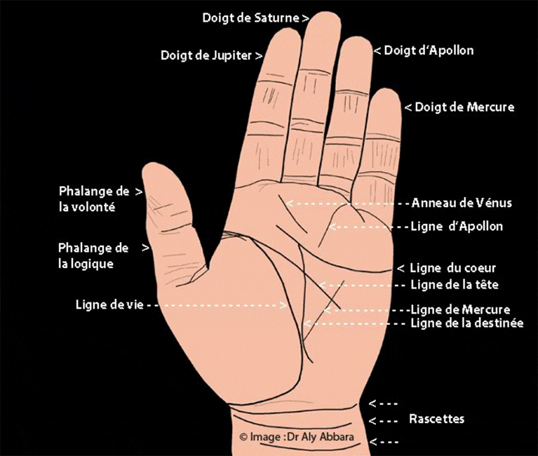découvrez l'art fascinant de la chiromancie avec notre guide sur la ligne de la main. apprenez à interpréter les traits et les lignes pour comprendre votre personnalité et prévoir votre avenir.