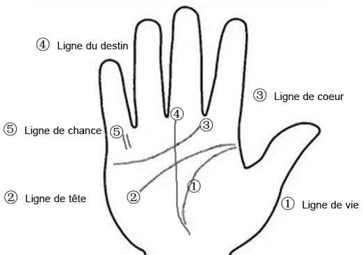 découvrez l'art fascinant de la chiromancie à travers notre guide sur la ligne de la main. apprenez à interpréter les lignes de votre paume pour mieux comprendre votre personnalité, vos émotions et vos relations. plongez dans cet univers mystérieux et laissez-vous guider par les secrets de votre main.