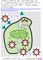 explorez les origines du covid-19, un virus qui a bouleversé le monde. découvrez les théories sur son apparition, son évolution et les recherches en cours pour mieux comprendre cette pandémie qui a impacté nos vies.