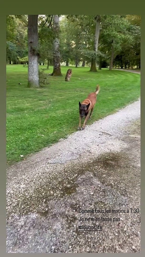 découvrez la propriété d'anthony delon, un véritable bijou architectural alliant élégance et raffinement. plongez dans l'univers de l'acteur et styliste français, où chaque détail raconte une histoire unique et où le luxe est au rendez-vous.