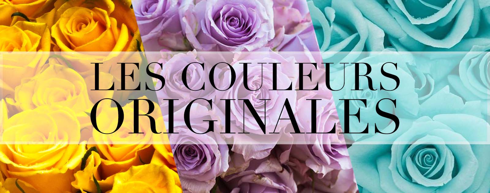 découvrez la signification des couleurs des roses et leur symbolique profonde. apprenez comment chaque teinte exprime des sentiments uniques, allant de l'amour à l'amitié, et comment choisir la rose parfaite pour chaque occasion.