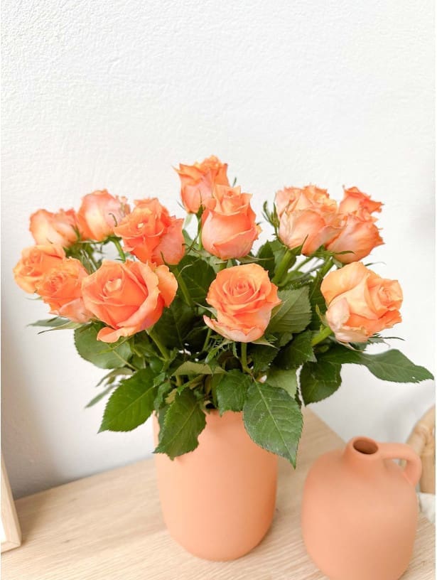 découvrez la signification des couleurs des roses et ce qu'elles symbolisent dans le langage floral. chaque teinte véhicule un message unique, allant de l'amour passionné aux amitiés sincères. plongez dans l'univers des roses pour choisir la couleur qui exprime parfaitement vos émotions.