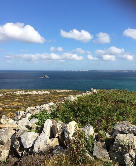 découvrez le trésor littoral, un voyage fascinant au cœur des merveilles naturelles et culturelles des côtes. explorez les paysages à couper le souffle, la biodiversité marine et les traditions locales qui font de ces régions un véritable patrimoine à préserver.