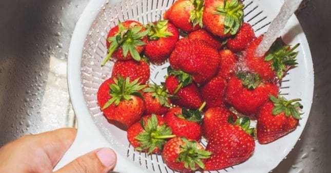 découvrez nos meilleures astuces pour cultiver, préparer et déguster les fraises comme un expert. maximisez votre récolte et savourez ces délicieuses baies tout en apprenant des conseils pratiques pour les conserver et les utiliser en cuisine.