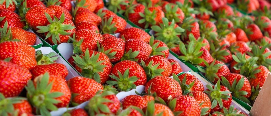 découvrez des astuces pratiques pour cultiver, conserver et déguster les fraises comme un expert. transformez votre expérience des fraises avec des conseils simples et efficaces pour maximiser saveur et plaisir!