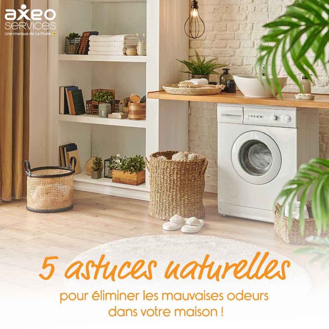 découvrez des astuces naturelles simples et efficaces pour améliorer votre bien-être au quotidien. profitez de conseils pratiques pour utiliser les plantes, les huiles essentielles et d'autres remèdes maison afin de favoriser une vie saine et équilibrée.