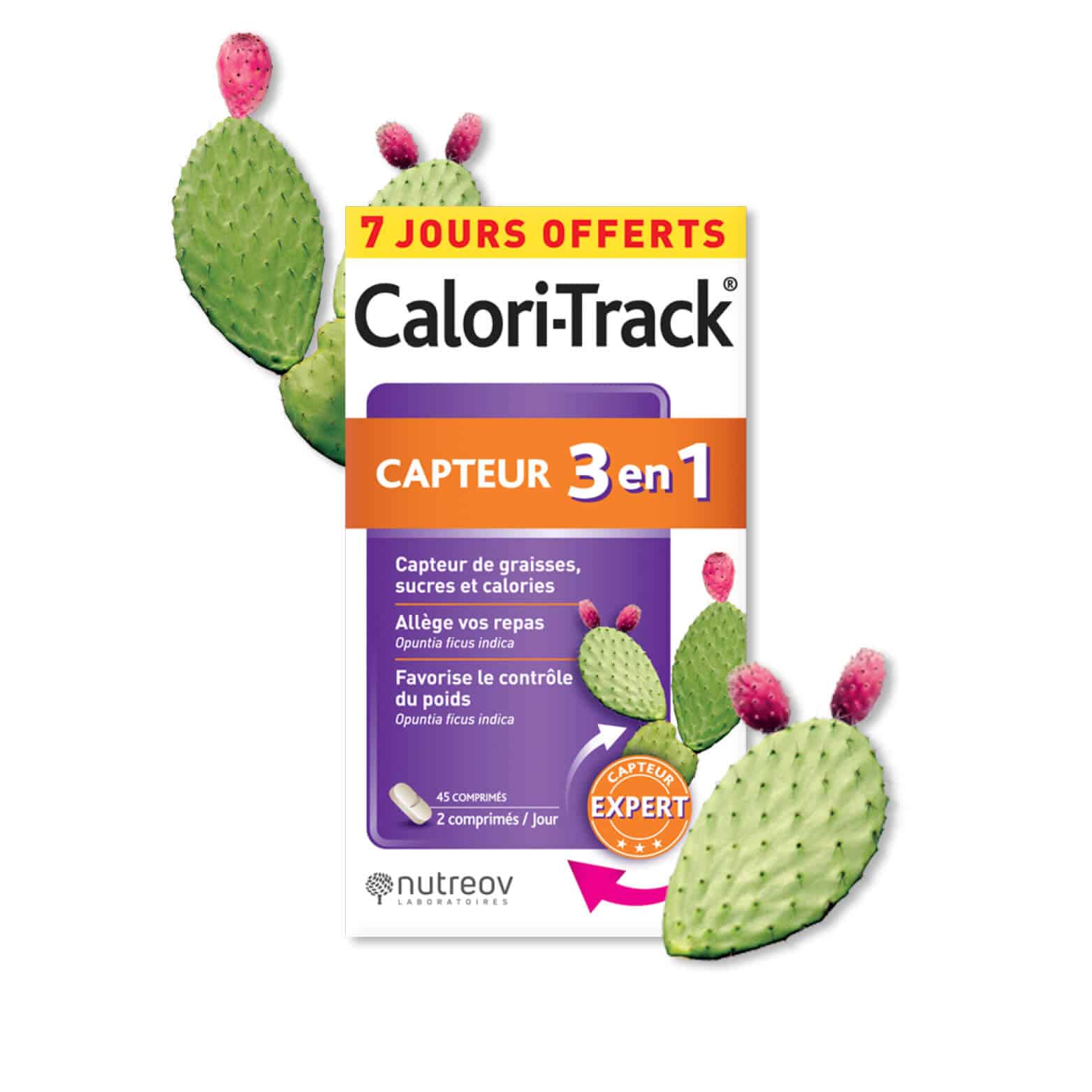 découvrez nos conseils pour adopter une silhouette harmonieuse tout en savourant des repas copieux. apprenez comment équilibrer vos plats et faire des choix judicieux pour profiter de vos repas sans culpabilité.