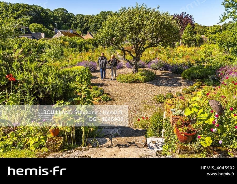 découvrez l'enchantement du jardin secret médiéval, un havre de paix où l'histoire et la nature se rencontrent. explorez des plantes rares, des sentiers ombragés et des éléments architecturaux d'époque qui vous plongeront dans l'atmosphère unique de la période médiévale.