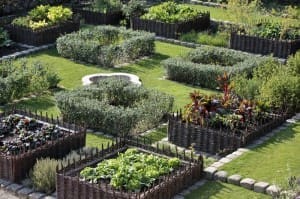 explorez un jardin secret médiéval, un havre de paix où l'histoire et la nature se rencontrent. découvrez des plantes ancestrales, des sculptures mystérieuses et une ambiance romantique, parfait pour une évasion dans le temps.