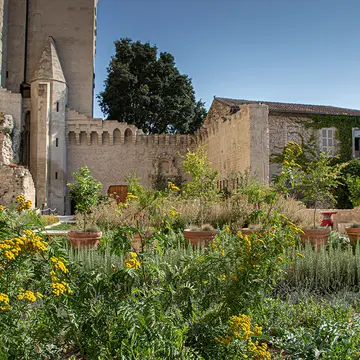découvrez le jardin secret du palais des papes, un havre de paix niché au cœur d'avignon. explorez ses magnifiques jardins, ses plantes exotiques et son ambiance paisible, idéale pour une promenade contemplative et une immersion dans l'histoire papale.