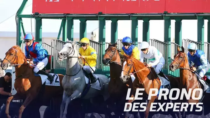 découvrez toutes les informations nécessaires sur le quinté+ du 30 avril 2025 à parislongchamp, avec les pronostics, les chevaux à surveiller et les analyses pour vivre une journée de courses exceptionnelle.