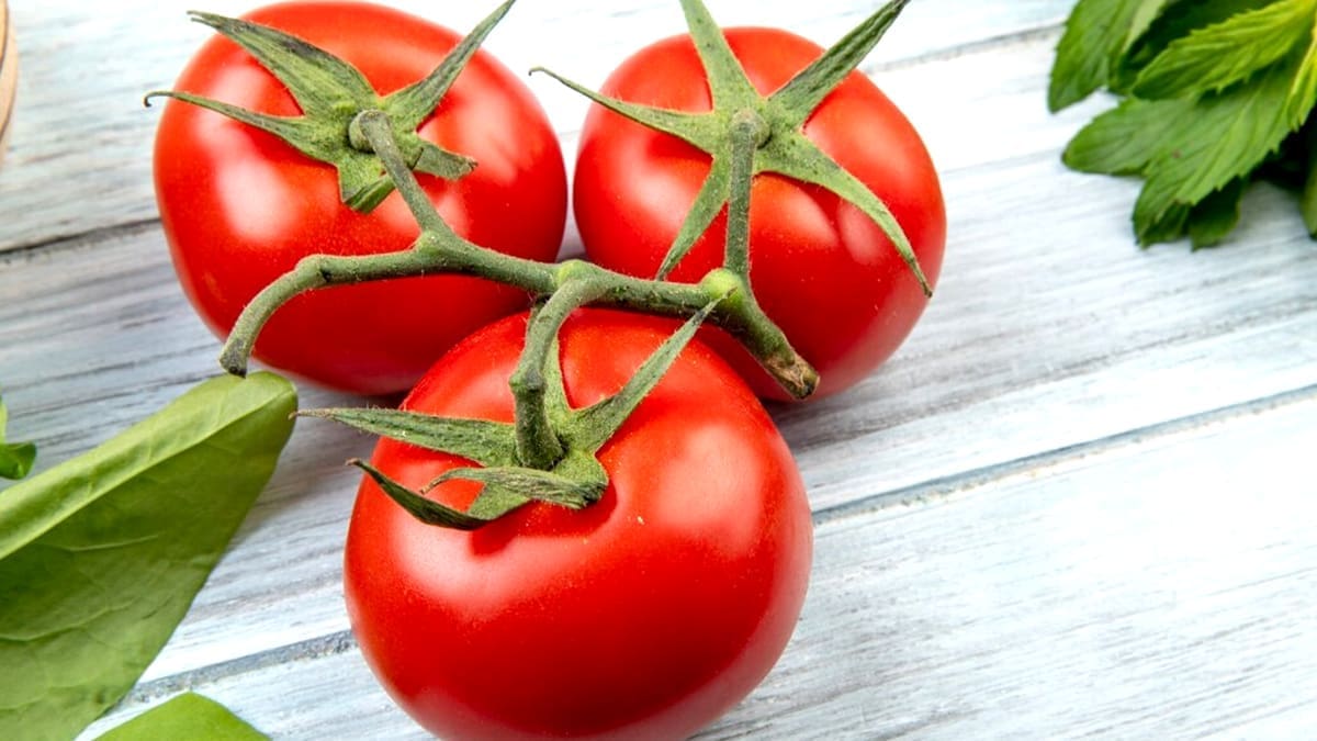 découvrez les secrets des tomates pour sublimer vos plats ! apprenez les meilleures techniques de culture, sélection, et recettes pour profiter pleinement de ce fruit savoureux. transformez votre cuisine avec nos astuces pour des tomates savoureuses et juteuses.