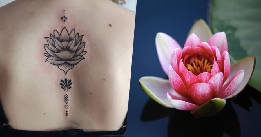 découvrez la signification profonde de la fleur de lotus, symbole de beauté et de renaissance. explorez son importance dans différentes cultures et sa représentation spirituelle.