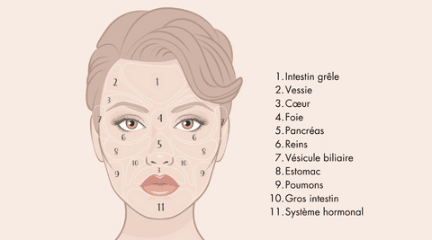 découvrez les différentes significations derrière l'apparition d'un bouton sur le menton. explorez les causes possibles et les implications sur votre santé et votre bien-être. obtenez des conseils pour traiter votre peau efficacement.