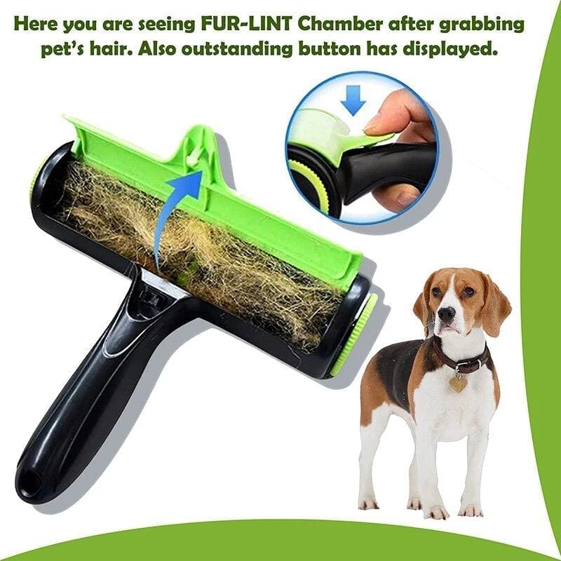 découvrez des astuces et des méthodes efficaces pour enlever les poils de votre chien de votre maison. profitez d'un environnement propre et sans poils grâce à nos conseils pratiques et nos recommandations de produits adaptés.
