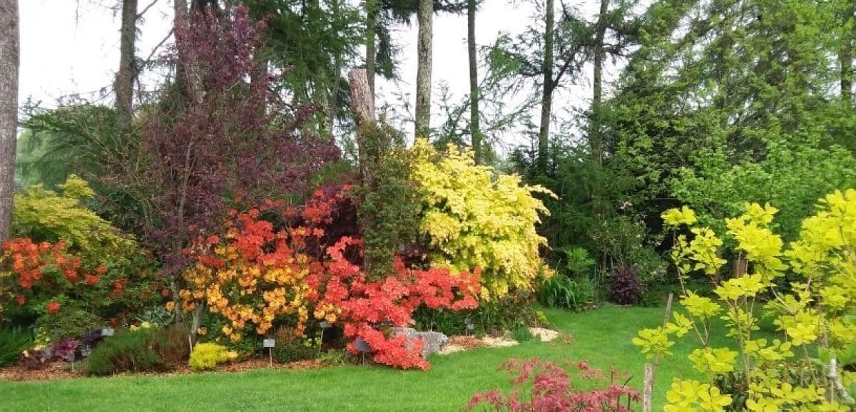 découvrez l'association jardinage manche, un lieu de partage et d'échange pour les passionnés de jardinage. rejoignez-nous pour apprendre des techniques de jardinage durable, participer à des ateliers et profiter d'événements autour de la nature et du jardinage dans la manche.