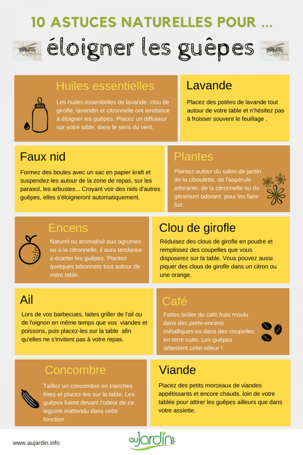 découvrez nos astuces naturelles pour améliorer votre bien-être au quotidien. explorez des remèdes simples et efficaces, des conseils de jardinage, et des solutions écologiques pour une vie plus saine et harmonieuse.