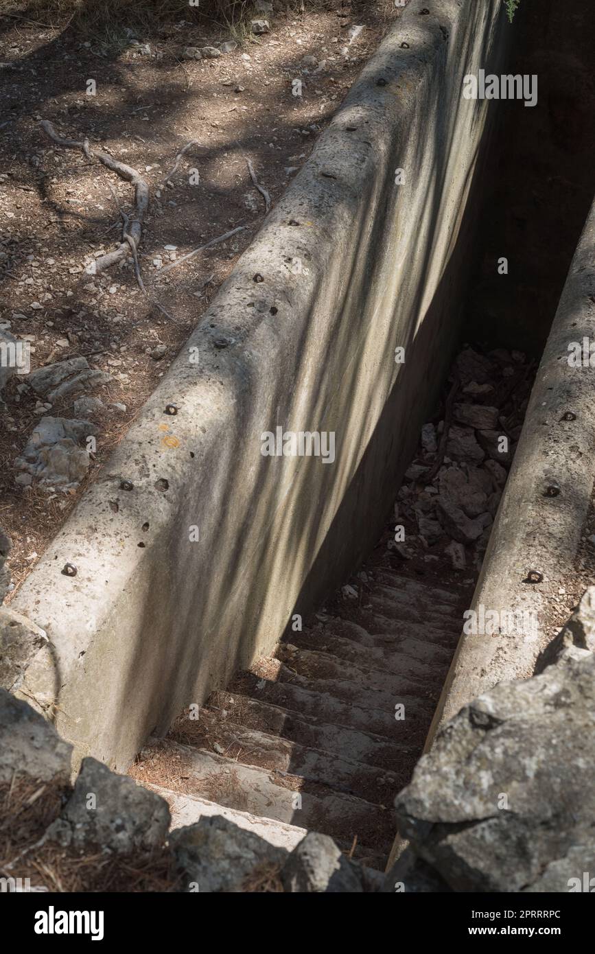 découvrez les mystères des bunkers secrets et les craintes qu'ils suscitent. plongez dans l'univers fascinant des refuges souterrains, entre paranoïa et protection, et explorez les inquiétudes qui entourent leur existence.