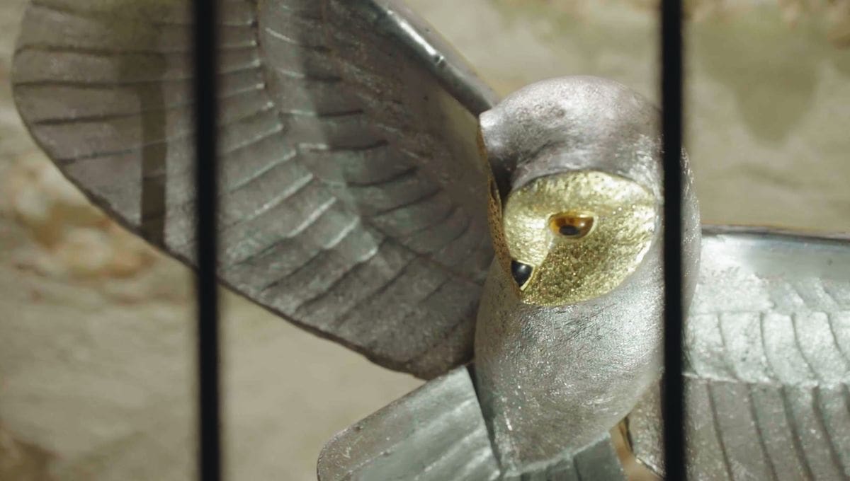 découvrez la chouette d'or, un emblème mythique et énigmatique qui fascine les passionnés de trésors et d'aventures. plongez dans son histoire intrigante et rejoignez les chasseurs de trésors en quête de cette récompense légendaire.