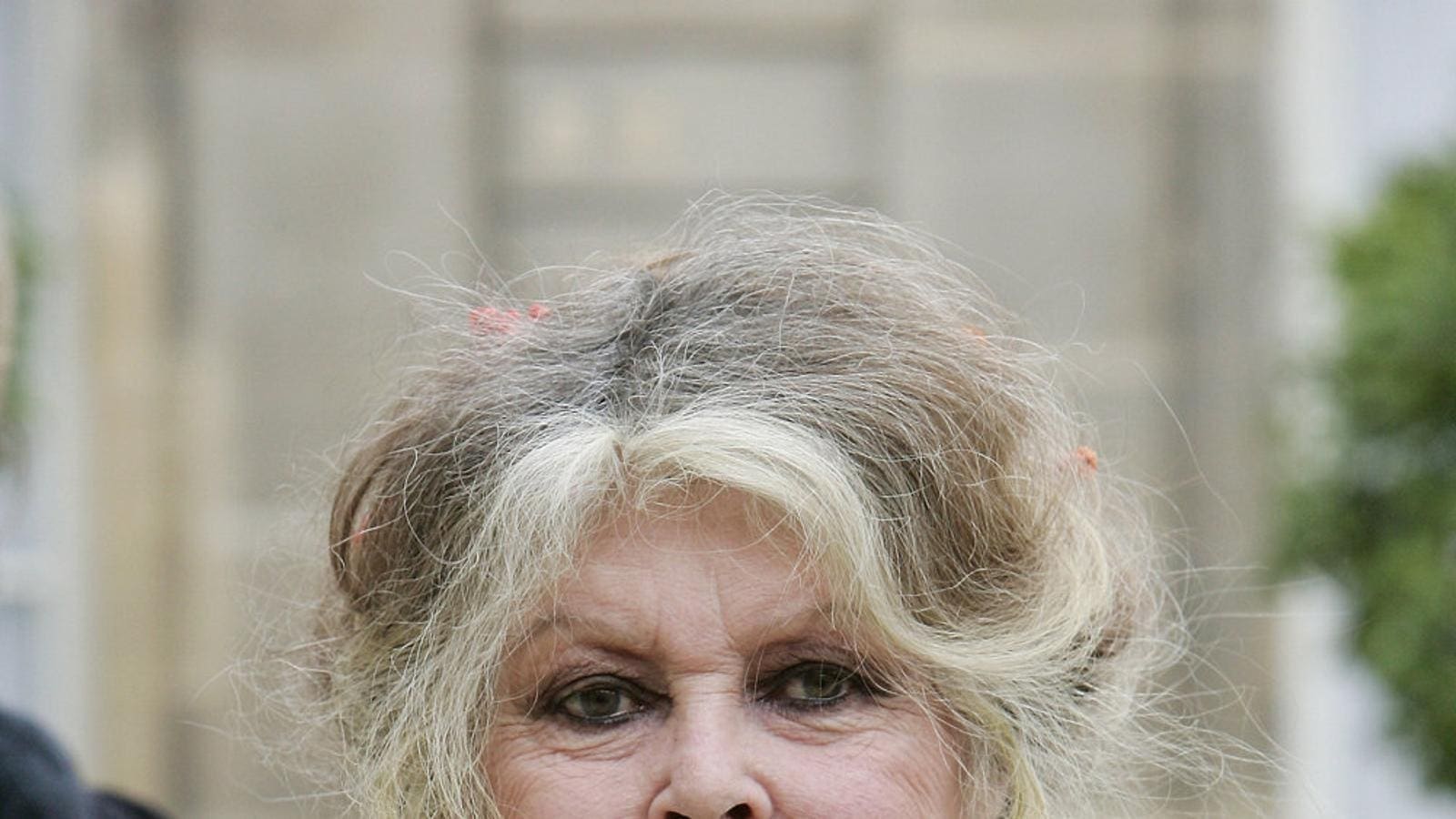 découvrez les conditions de l'interview exclusive avec brigitte bardot, une icône de la culture française. plongez dans son univers à travers des anecdotes inédites et ses réflexions sur la célébrité, l'amour et son engagement pour la cause animale.