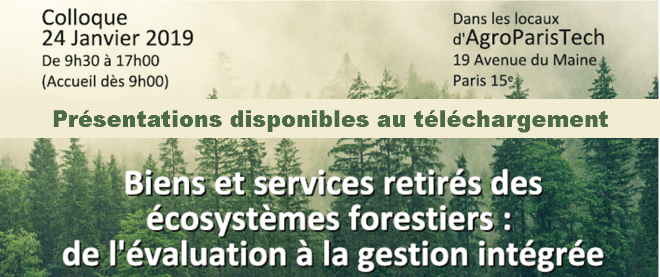 découvrez l'importance des écosystèmes forestiers, leurs fonctions essentielles pour la biodiversité, le climat et les communautés humaines. apprenez comment préserver ces trésors naturels pour un avenir durable.