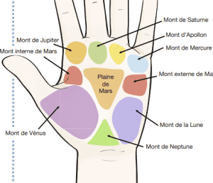 découvrez l'art fascinant de la chiromancie avec notre guide complet sur les lignes de main. apprenez à interpréter les lignes de la main pour mieux comprendre votre personnalité et votre avenir. que vous soyez novice ou expert, explorez les secrets des lignes de vie, de cœur et de tête.