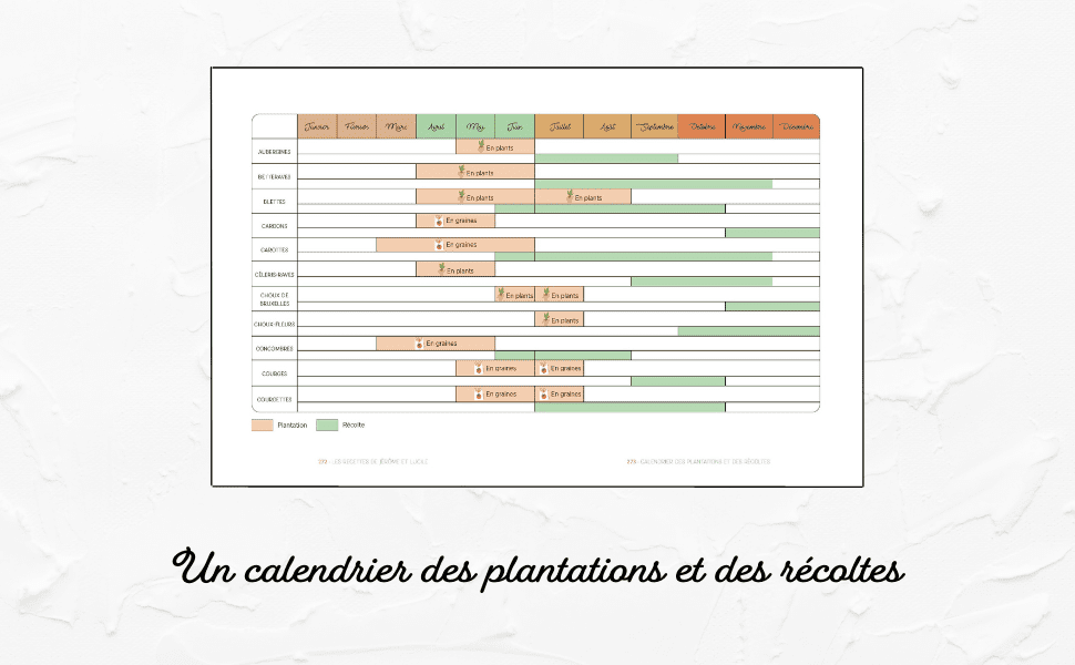 découvrez le tendre récit de lucile qui se remémore un instant précieux partagé avec jérôme. une histoire d'amitié, de nostalgie et de moments inoubliables.