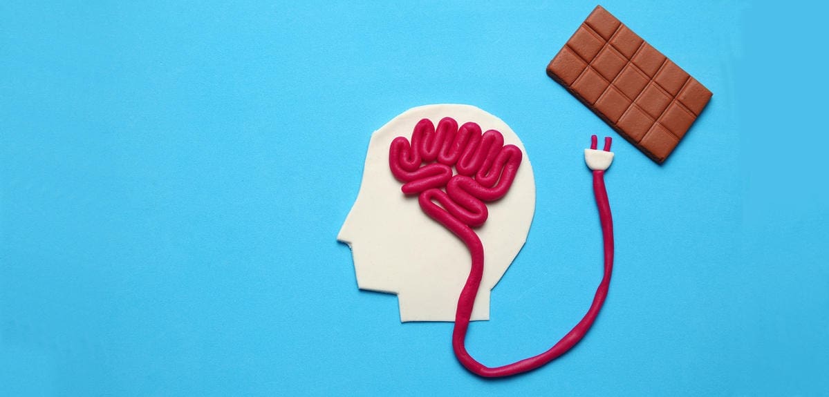 découvrez le lien complexe entre le mécanisme cérébral et l'obésité, une exploration des processus cognitifs et des facteurs neurologiques qui influencent le poids corporel. apprenez comment le cerveau régule l'appétit et le métabolisme, et les implications potentielles pour la prévention et le traitement de l'obésité.