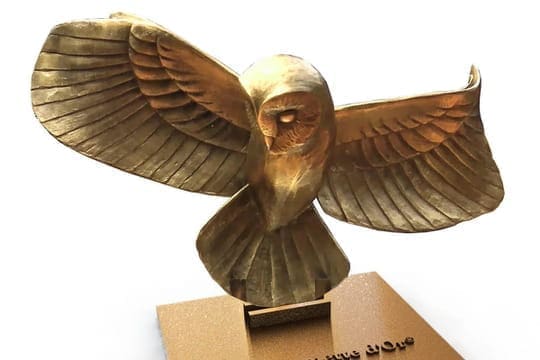 découvrez le refuge chouette d'or, un havre de paix dédié à la protection des chouettes et autres rapaces. plongez dans un environnement naturel préservé, participez à des activités éducatives et rencontrez ces oiseaux fascinants dans leur habitat. rejoignez-nous pour une expérience inoubliable au cœur de la nature.