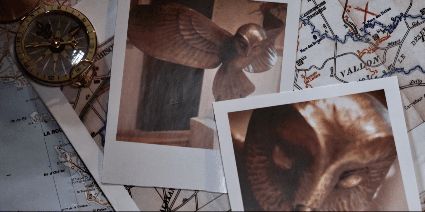 découvrez le refuge chouette d'or, un havre de paix dédié à la protection des oiseaux et de la faune locale. plongez dans un univers naturel préservé et participez à des activités enrichissantes pour toute la famille.