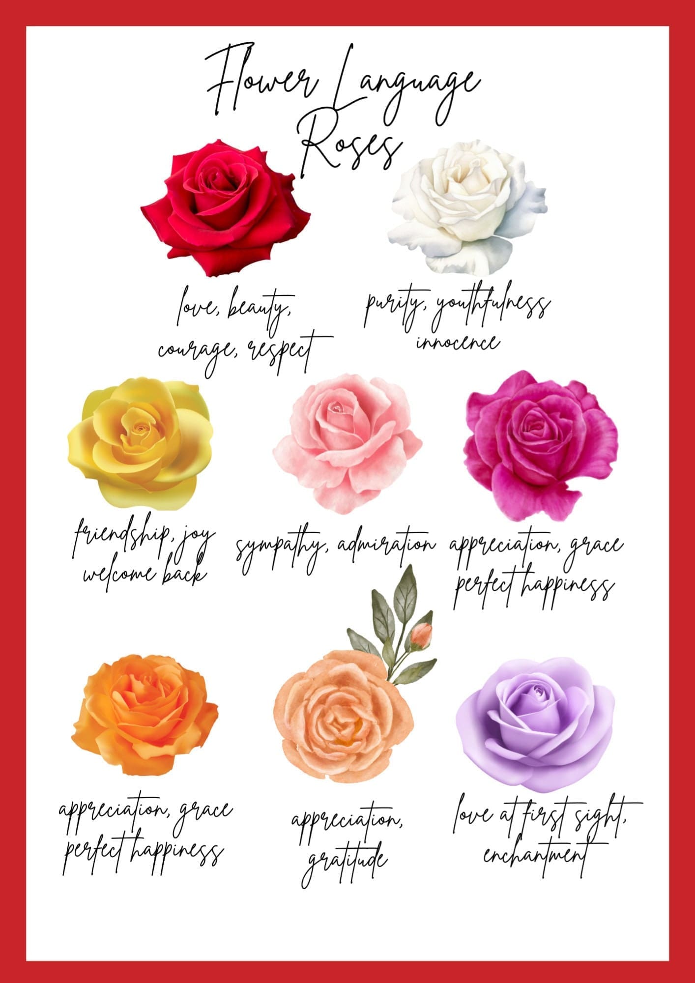 découvrez la signification des roses et leur symbolique à travers les couleurs et les variétés. apprenez comment chaque rose transmet des messages d'amour, d'amitié ou de passion.