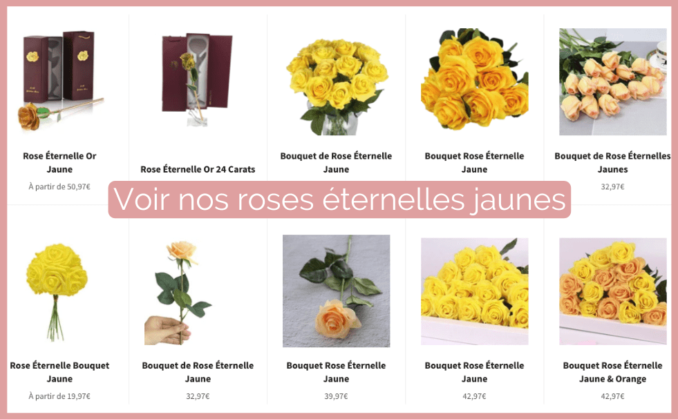 découvrez la signification des roses : un guide complet sur les différentes couleurs et leurs symboliques, parfait pour exprimer vos émotions et intentions, que ce soit en amour, amitié ou en tant que geste de remerciement.