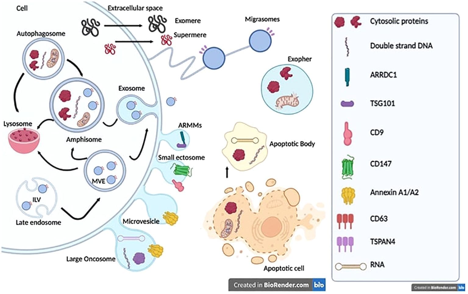 découvrez la stratégie secrète om, un guide détaillé qui vous révélera les tactiques inédites et les conseils précieux pour réussir dans votre domaine. transformez votre approche avec des techniques stratégiques éprouvées et atteignez vos objectifs plus rapidement.