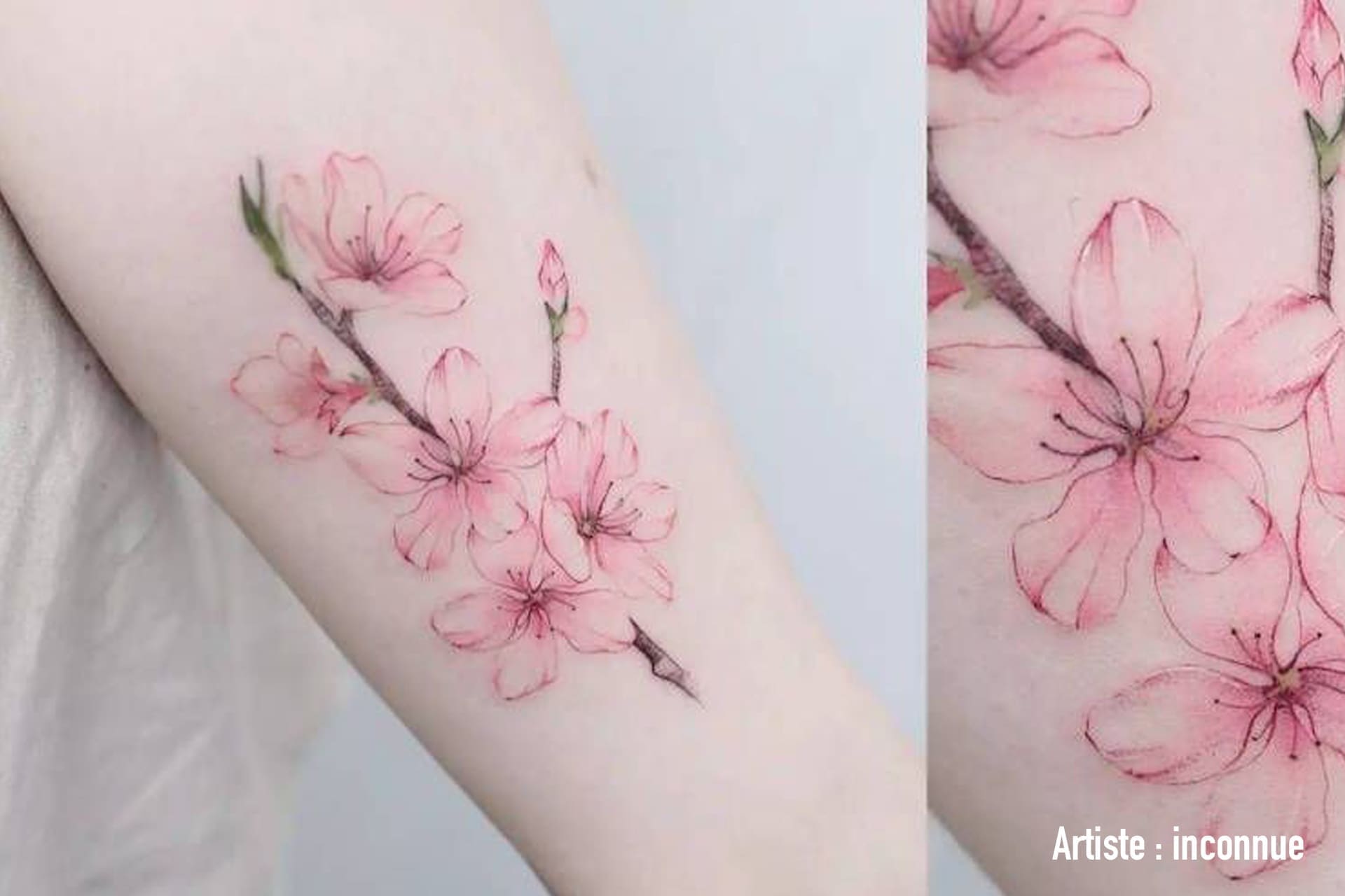 découvrez la signification profonde des fleurs en tatouage et comment elles peuvent exprimer des émotions, des souvenirs et des personnalités uniques. plongez dans l'univers fascinant de la symbolique florale et inspirez-vous pour votre prochain tatouage.