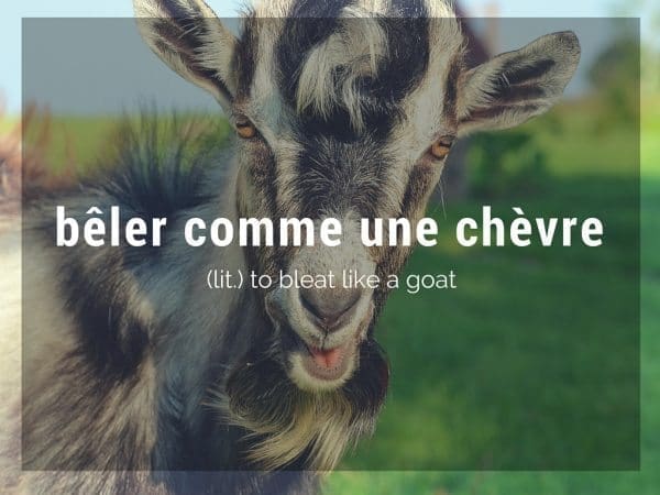 découvrez la signification de l'acronyme g.o.a.t., souvent utilisé pour désigner le plus grand de tous les temps dans le monde du sport et de la culture. plongez dans son origine, son utilisation et son impact sur la culture populaire.