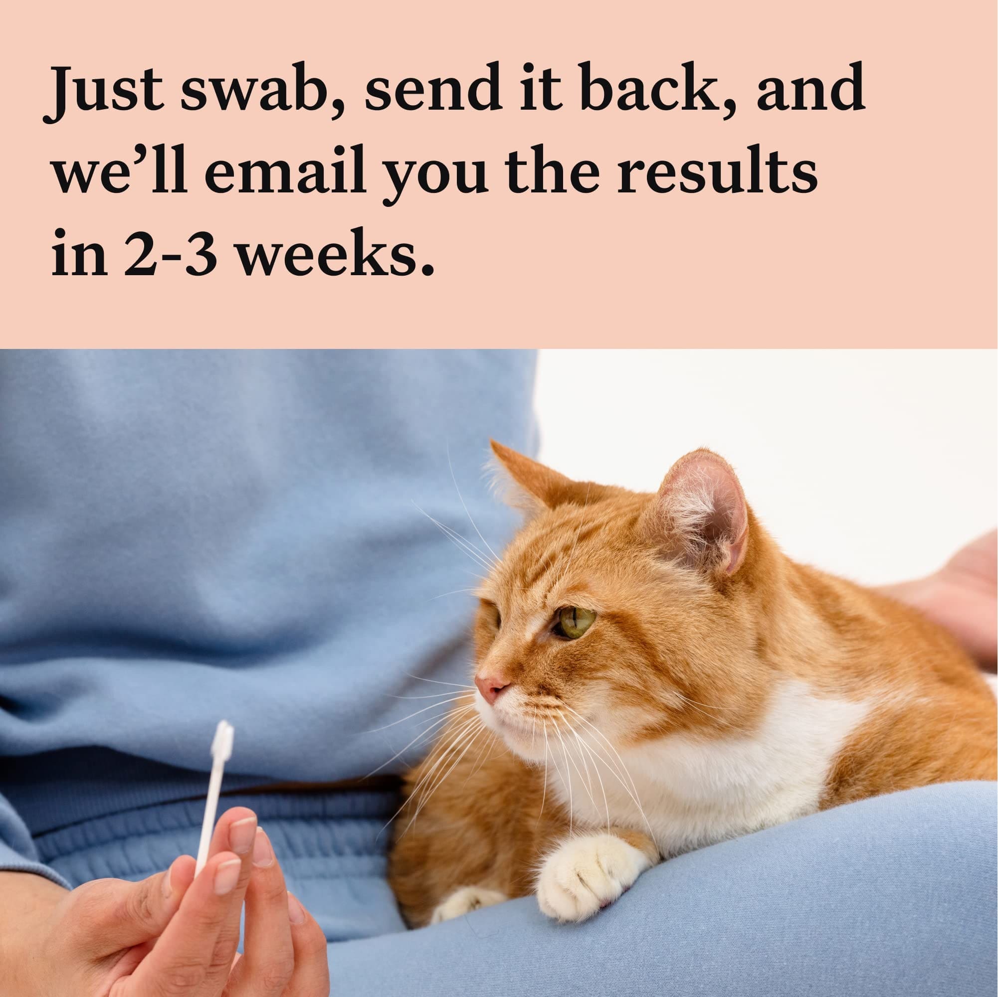 découvrez les mystères fascinants de l'adn des chats ! explorez comment leur génétique influence leur comportement, leur santé et leur apparence. plongez dans l'univers captivant de la biologie féline et apprenez tout ce que vous devez savoir sur vos compagnons à quatre pattes.