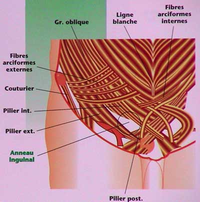 découvrez les principales causes de la douleur à la hanche droite. de l'arthrite aux blessures, explorez les facteurs qui peuvent affecter votre mobilité et apprendre des solutions pour atténuer votre inconfort.