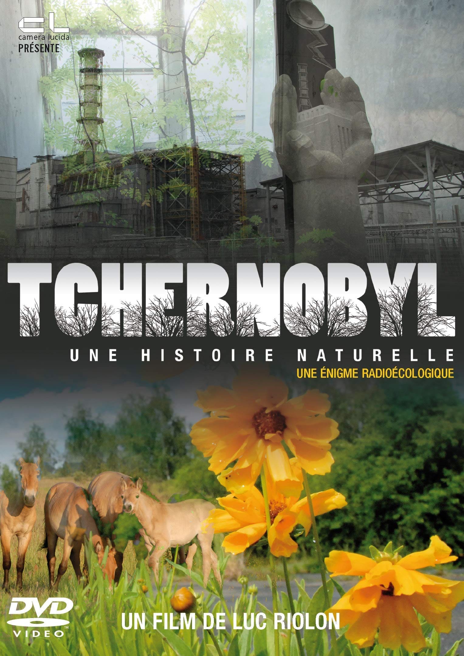 découvrez notre documentaire fascinant sur les énigmes du polygone nucléaire. plongez au cœur des mystères entourant ces sites de tests nucléaires, explorez leur histoire et leurs conséquences sur l'environnement et la société.