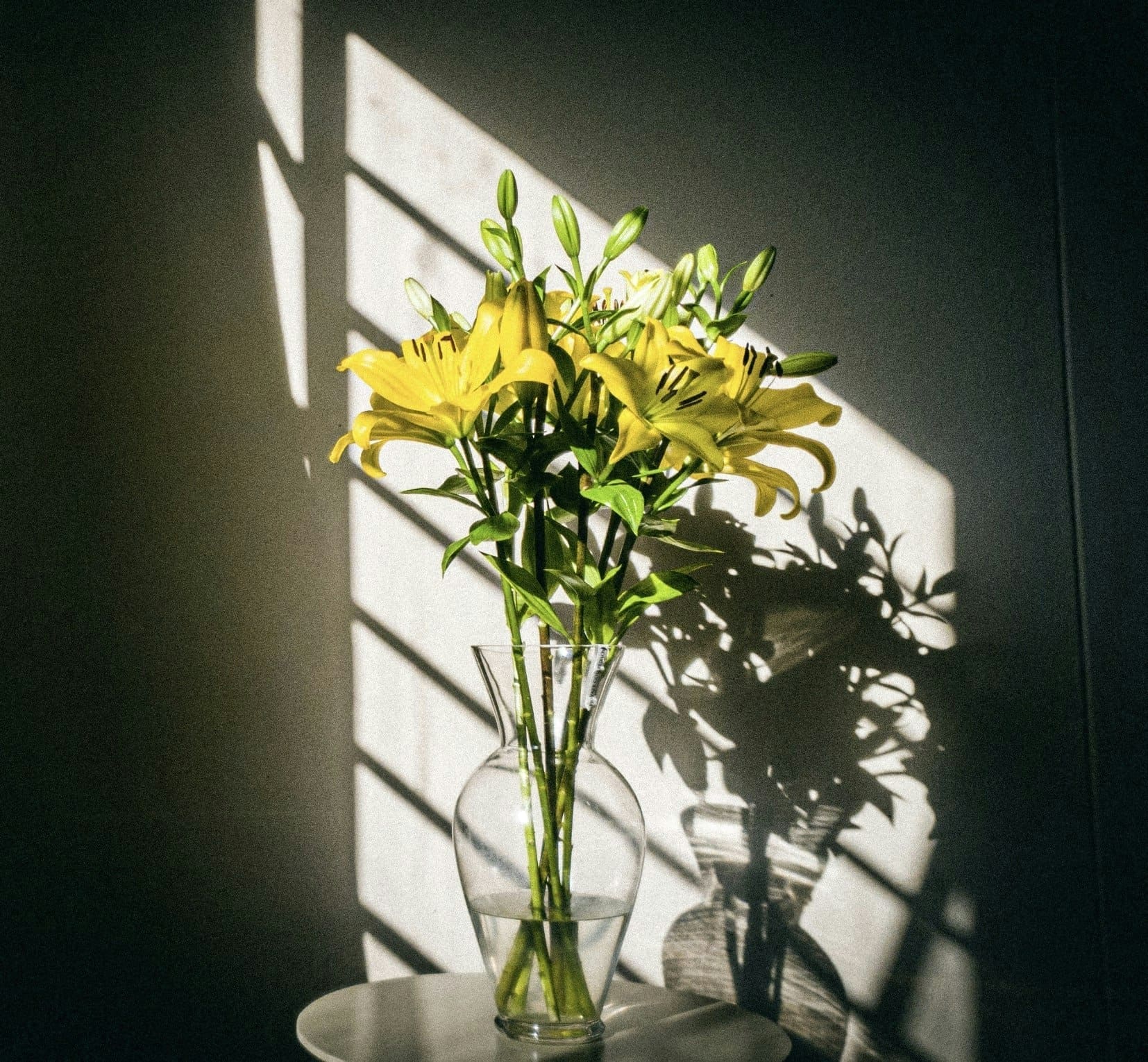 découvrez la richesse de la symbolique de la fleur de lys, un emblème chargé d'histoire et de significations profondes, évoquant la royauté, la pureté et la beauté. plongez dans un univers où chaque pétale raconte une histoire fascinante.