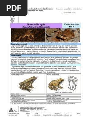 découvrez l'incroyable identité de la grenouille, un amphibien fascinant qui joue un rôle essentiel dans les écosystèmes. explorez son habitat, ses caractéristiques biologiques et son comportement unique, ainsi que son importance dans la culture et la science.