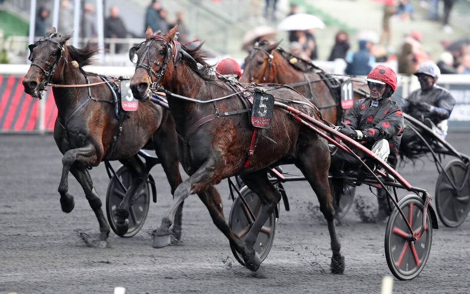 découvrez l'histoire captivante de pierre-yves et sa bévue coûteuse qui a bouleversé sa vie. apprenez comment cette expérience inattendue a modifié son parcours et quelles leçons précieuses il en a tirées. ne manquez pas cet article inspirant!