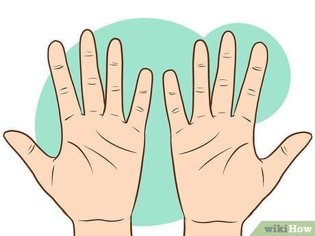 découvrez l'art de la chiromancie avec notre guide sur la ligne de la main. apprenez à interpréter les lignes et les symboles de la main pour mieux comprendre votre personnalité, votre avenir et votre chemin de vie.